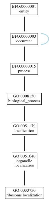 Graph of GO:0033750