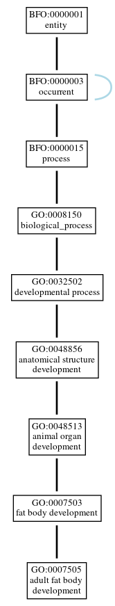 Graph of GO:0007505
