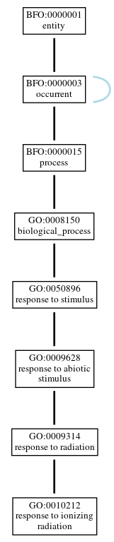 Graph of GO:0010212