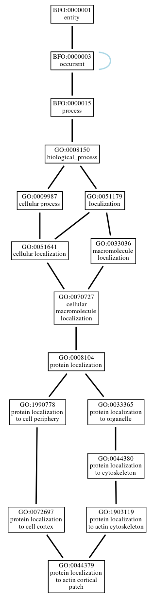 Graph of GO:0044379