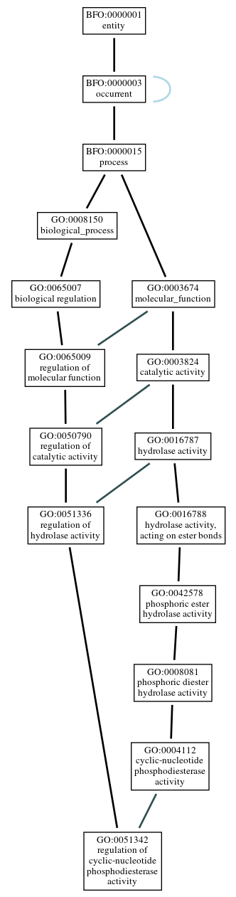 Graph of GO:0051342