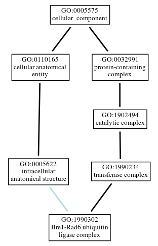 Graph of GO:1990302