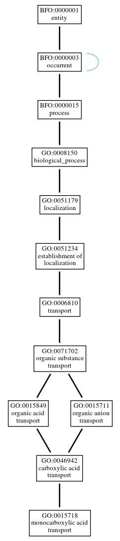 Graph of GO:0015718