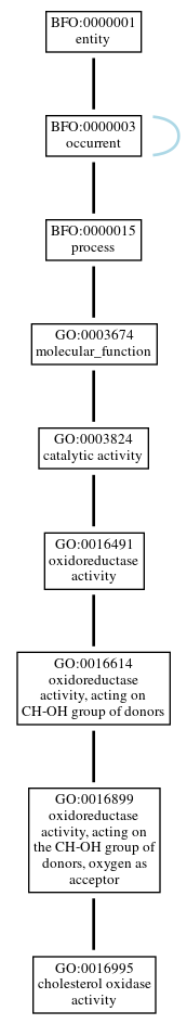 Graph of GO:0016995