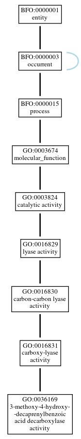 Graph of GO:0036169
