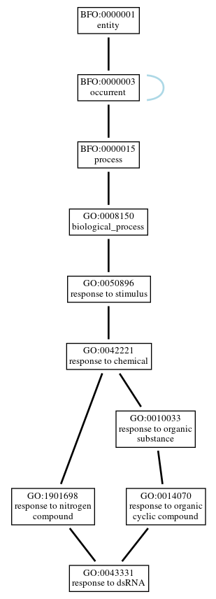 Graph of GO:0043331
