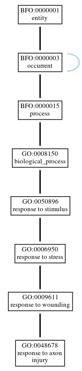 Graph of GO:0048678