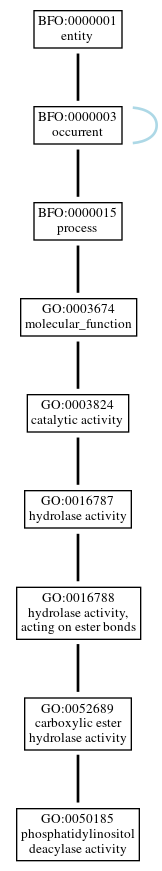 Graph of GO:0050185