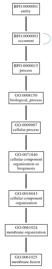 Graph of GO:0061025