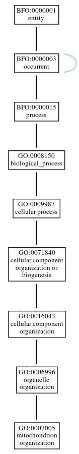 Graph of GO:0007005