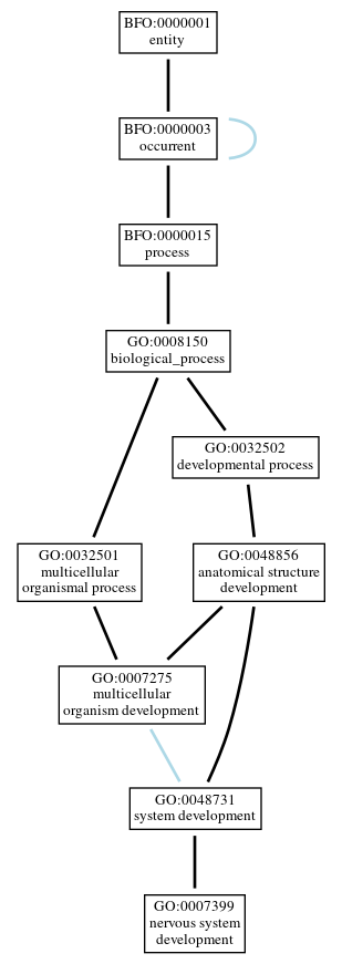 Graph of GO:0007399