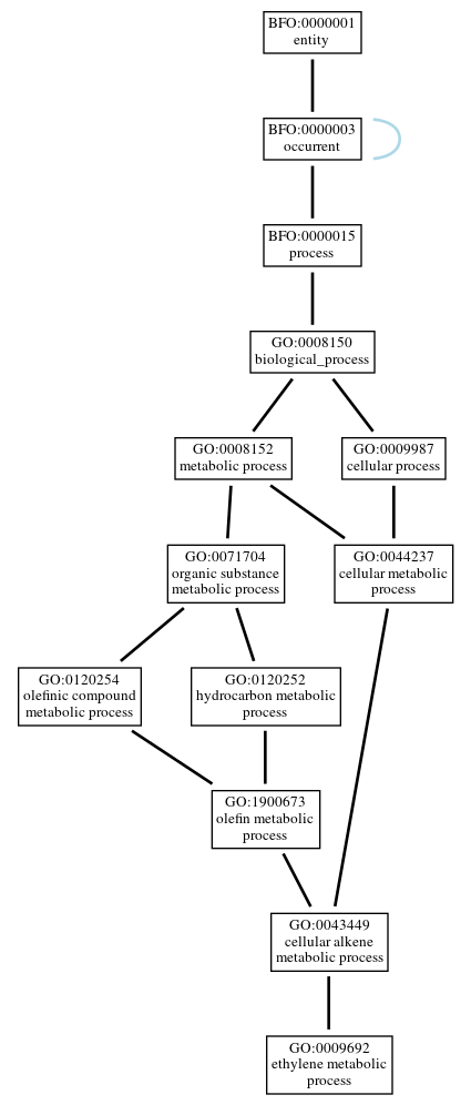 Graph of GO:0009692