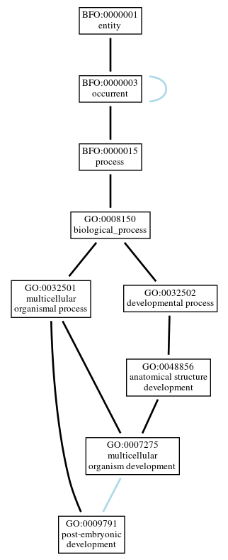 Graph of GO:0009791