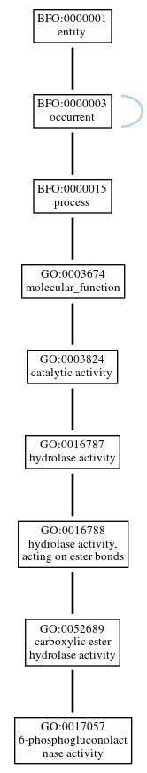 Graph of GO:0017057