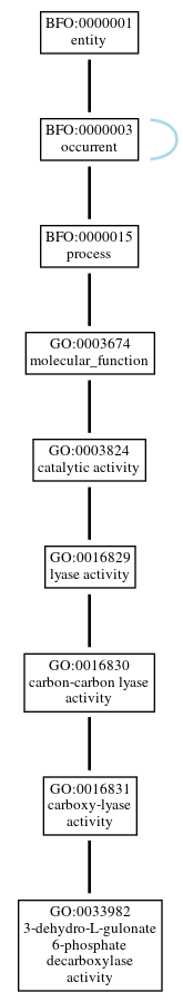 Graph of GO:0033982