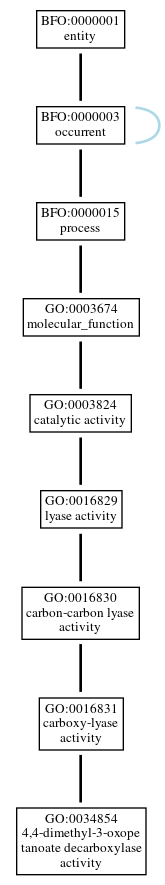 Graph of GO:0034854