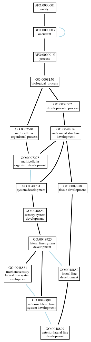 Graph of GO:0048899