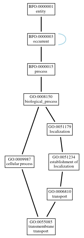 Graph of GO:0055085