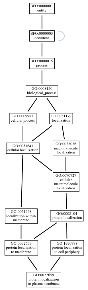 Graph of GO:0072659