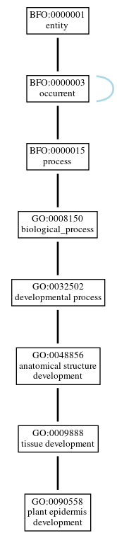 Graph of GO:0090558
