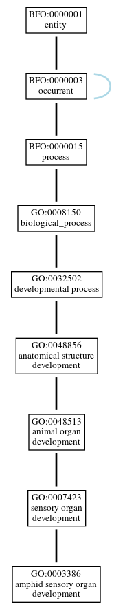 Graph of GO:0003386