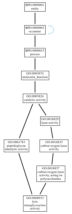 Graph of GO:0008933