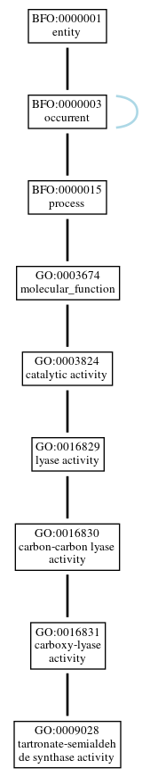 Graph of GO:0009028