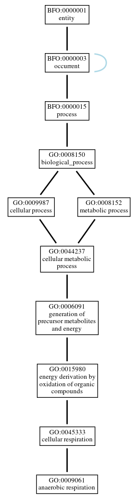 Graph of GO:0009061