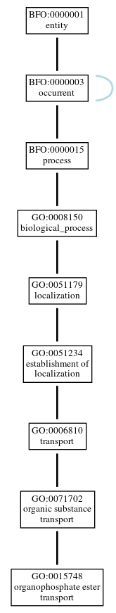 Graph of GO:0015748