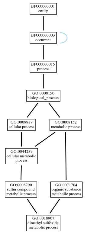 Graph of GO:0018907