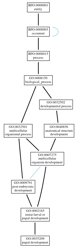 Graph of GO:0035209
