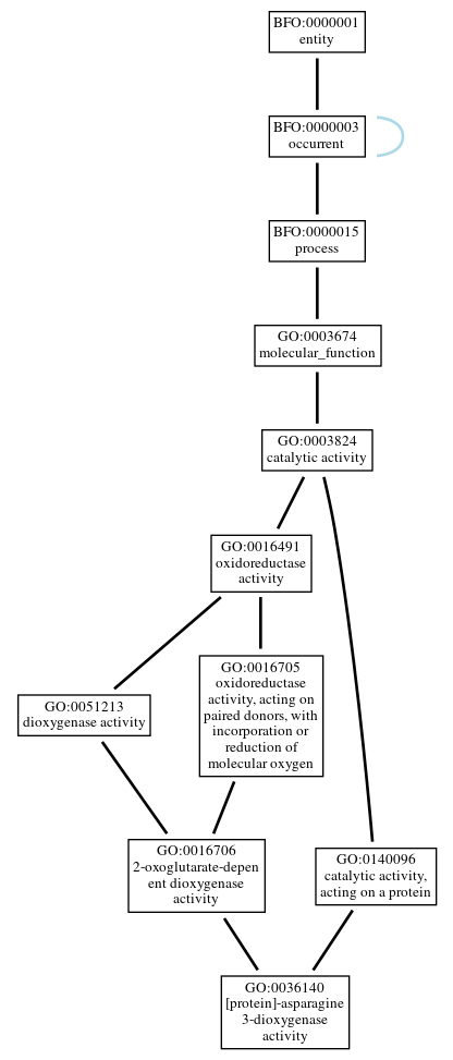 Graph of GO:0036140