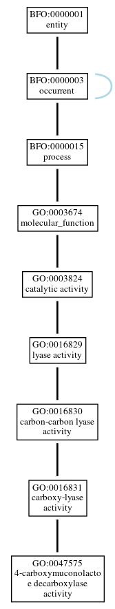 Graph of GO:0047575