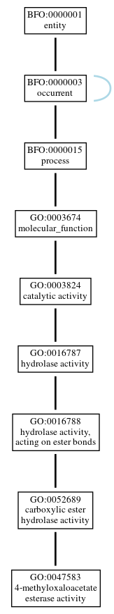 Graph of GO:0047583