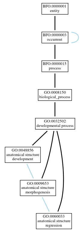 Graph of GO:0060033