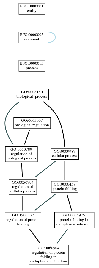 Graph of GO:0060904