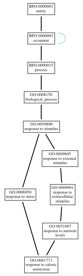 Graph of GO:0061771