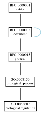 Graph of GO:0065007