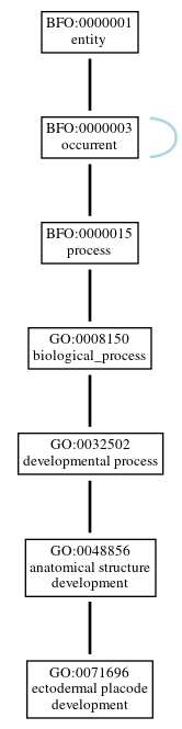 Graph of GO:0071696