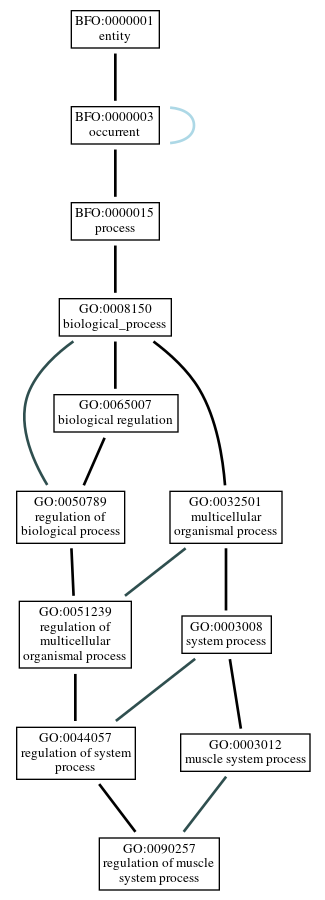 Graph of GO:0090257