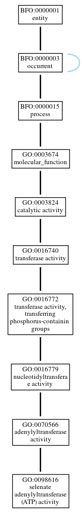 Graph of GO:0098616