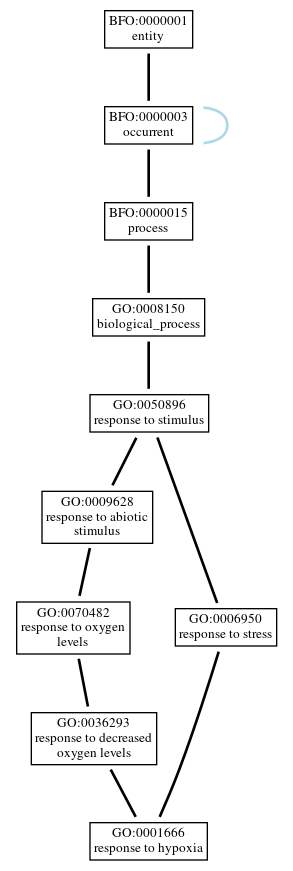 Graph of GO:0001666