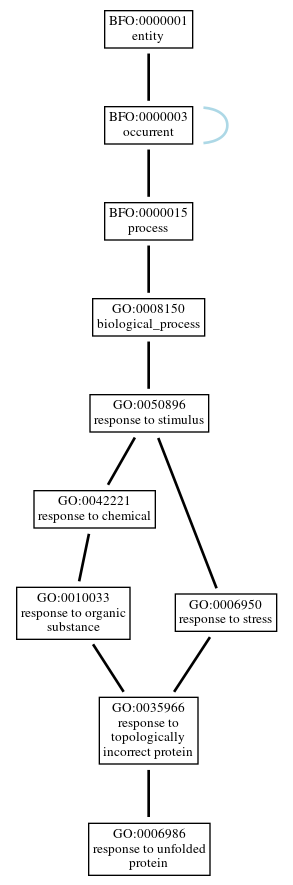 Graph of GO:0006986