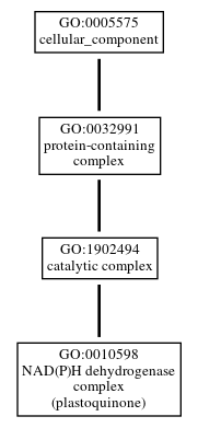 Graph of GO:0010598