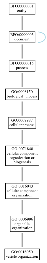 Graph of GO:0016050