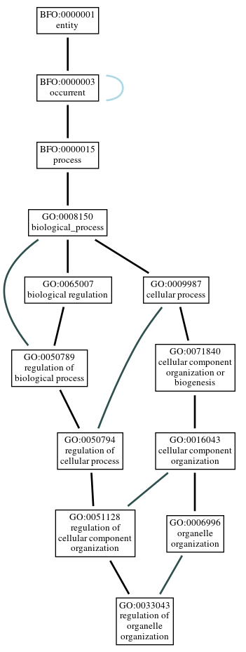 Graph of GO:0033043