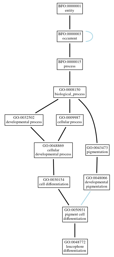 Graph of GO:0048772