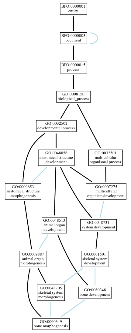 Graph of GO:0060349