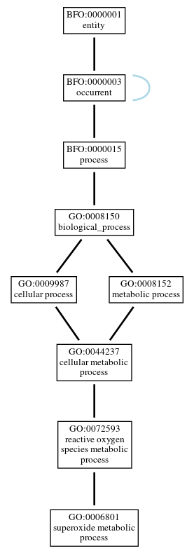 Graph of GO:0006801