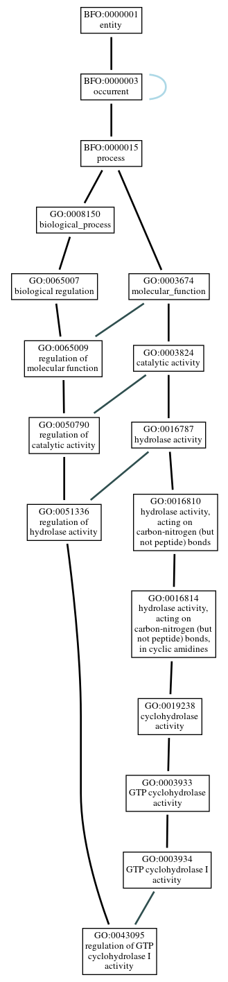 Graph of GO:0043095